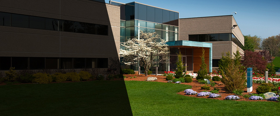 Brentwood Landscapers